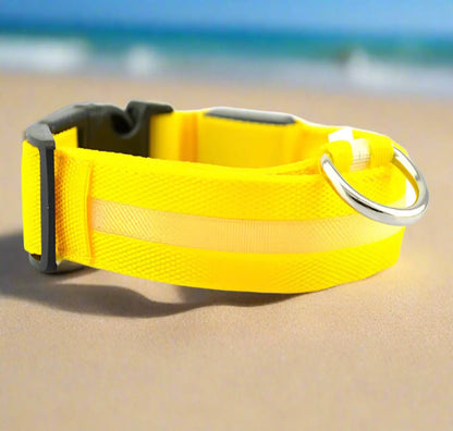 MyFurBuds™ GlowCollar – LED Safety Dog Collar MyFurBuds